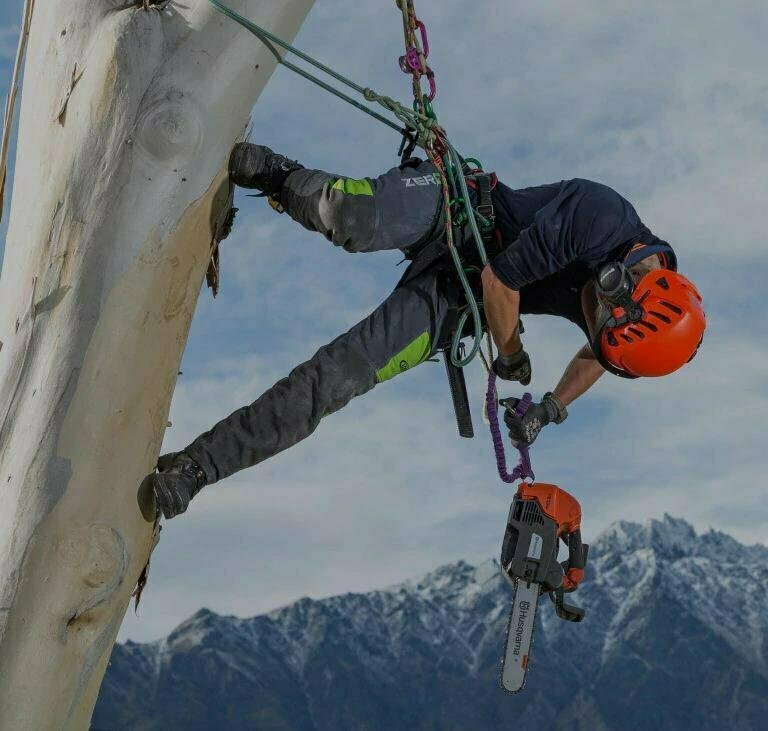 удаление деревьев